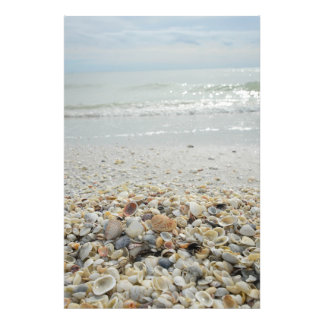 Sanibel Shells Foto Afdruk