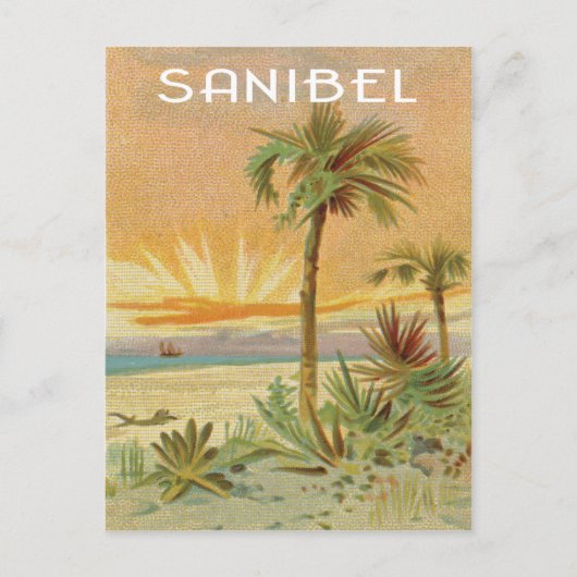 Sanibel strand scene briefkaart (Voorkant)