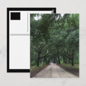 sanitaire weg briefkaart (Voorkant / Achterkant)