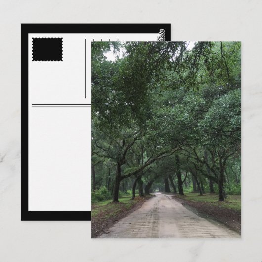 sanitaire weg briefkaart (Voorkant / Achterkant)