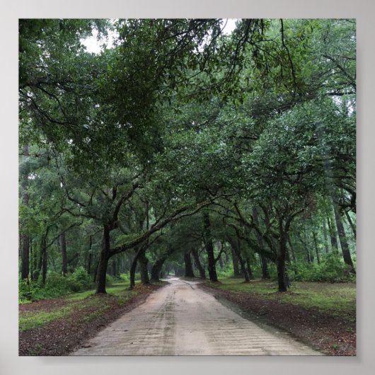 sanitaire weg poster (Voorkant)