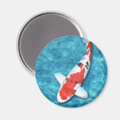 Sanke Magnet (Voorkant / Achterkant)