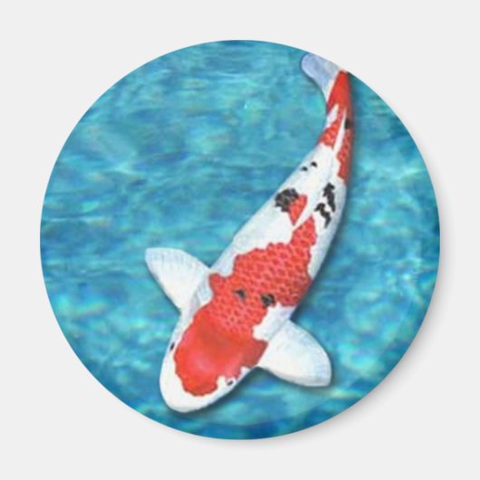 Sanke Magnet (Voorkant)