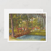 Sanlando Springs Orlando Sanford Florida Briefkaart (Voorkant / Achterkant)