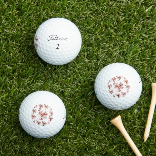 Santa 024 golfballen (Insitu Gras)