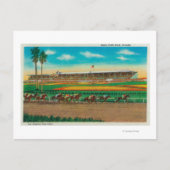 Santa Anita Park Horse Races Arcadia, CA Briefkaart (Voorkant)