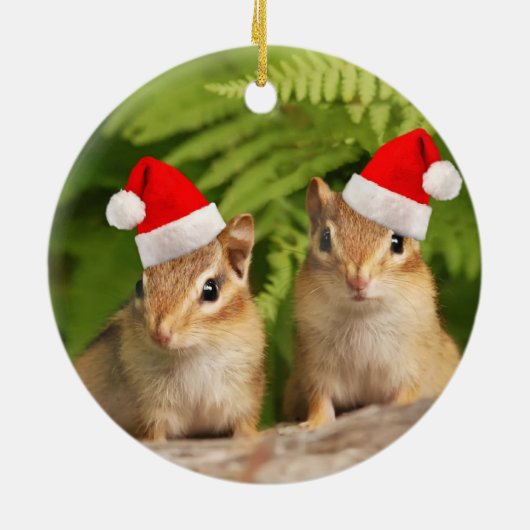 Santa Baby Chipmunks Double Sided Ornament (Achterkant)