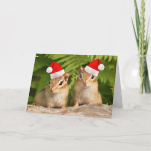Santa Baby Chipmunks Kaart