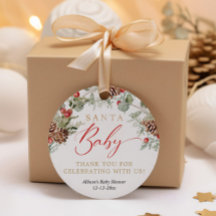 Santa Baby Rustic Winter Greenery baby shower