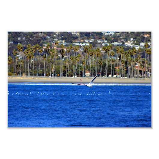 Santa Barbara, CA Foto Afdruk (Voorkant)