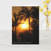 Santa Barbara Ca Kaart (Gele Bloem)