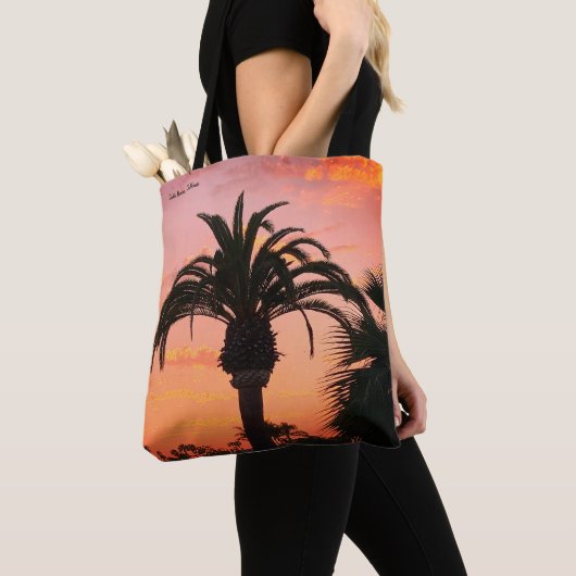 Santa Barbara, CA Sunset Tas (Dichtbij)