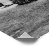 Santa Barbara, CA West Beach Uitzicht Foto Poster (Hoek)