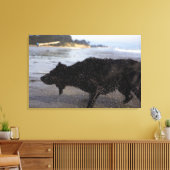 Santa Barbara, Californië, Verenigde Staten 2 Canvas Afdruk (Insitu (Woonkamer))