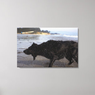 Santa Barbara, Californië, Verenigde Staten 2 Canvas Afdruk