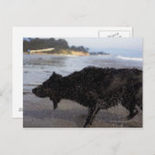 Santa Barbara, Californië, VS Briefkaart (Voorkant / Achterkant)