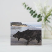 Santa Barbara, Californië, VS Briefkaart (Staand voorkant)