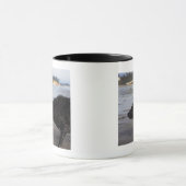 Santa Barbara, Californië, VS Mok (Midden)