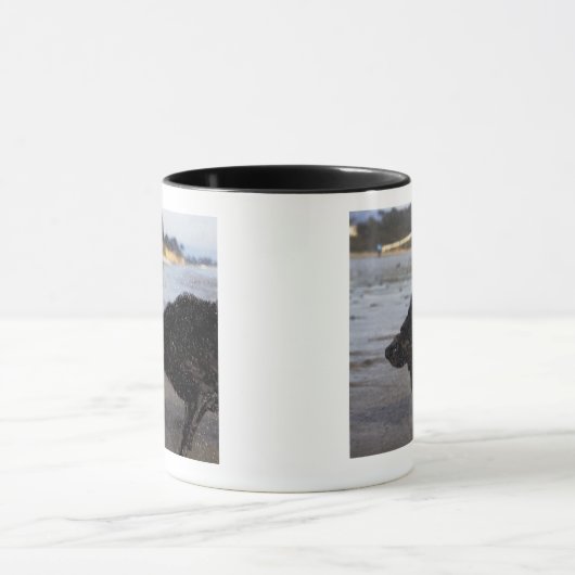 Santa Barbara, Californië, VS Mok (Midden)