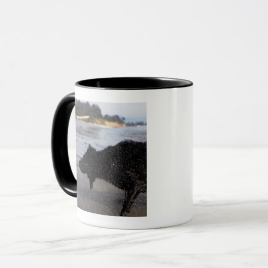 Santa Barbara, Californië, VS Mok (Voorkant links)