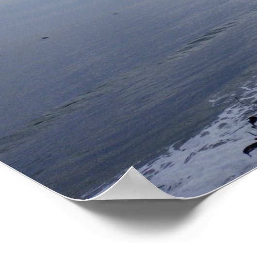 Santa Barbara Coast Poster (Hoek)