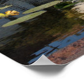 Santa Barbara Mission Fountain Poster (Hoek)