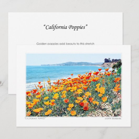 Santa Barbara Poppies Feestdagenkaart (Voorkant / Achterkant)