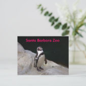 Santa Barbara Zoo Briefkaart (Staand voorkant)