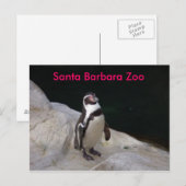 Santa Barbara Zoo Briefkaart (Voorkant / Achterkant)