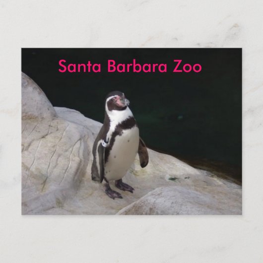 Santa Barbara Zoo Briefkaart (Voorkant)