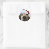 Santa Beagle Sticker (Tas)