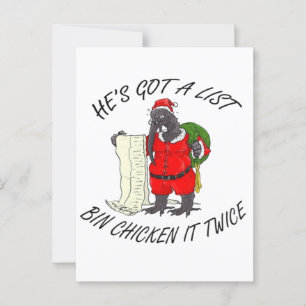 Santa Bin Kip Briefkaart