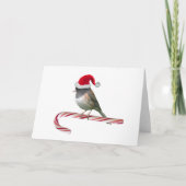 Santa Bird Christmas Kaart (Voorkant)