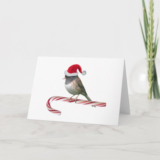Santa Bird Christmas Kaart (Voorkant)