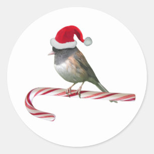 Santa Bird op Candy Cane Stickers