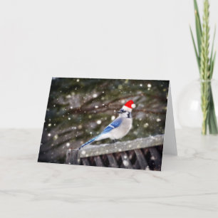 Santa Blue Jay Feestdagen Kaart