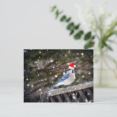 Santa Blue Jay Feestdagenkaart (Staand voorkant)