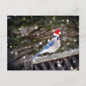 Santa Blue Jay Feestdagenkaart (Voorkant)