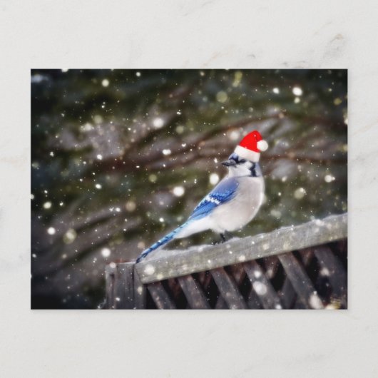 Santa Blue Jay Feestdagenkaart (Voorkant)