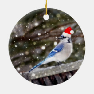 Santa Blue Jay Keramisch Ornament