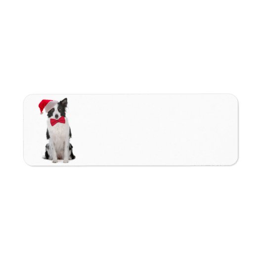 Santa Border Collie retour adreslabels Etiket (Voorkant)