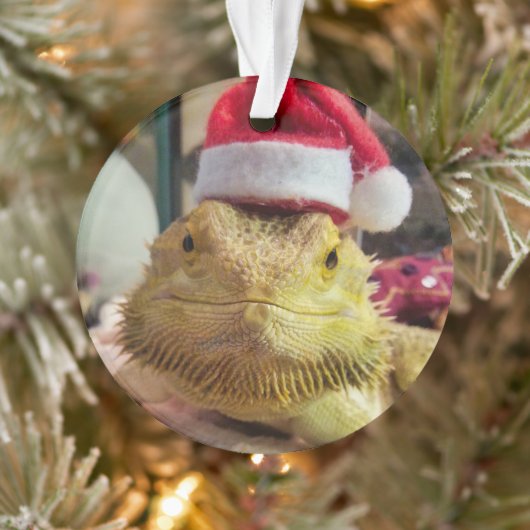 Santa Bubbs Acrylversiering Ornament (Boom)