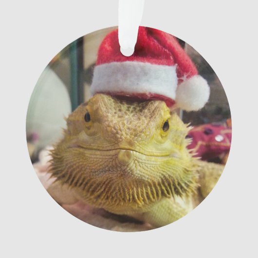 Santa Bubbs Acrylversiering Ornament (voorkant)