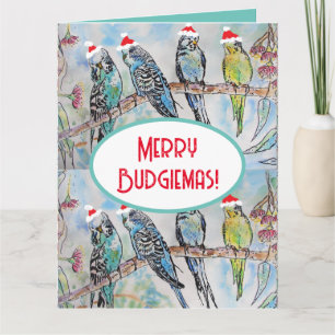 Santa Budgie Kerst Waterverf Schilderij Vogel Kaart