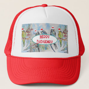 Santa Budgie Kerst Waterverf Schilderij Vogel Trucker Pet