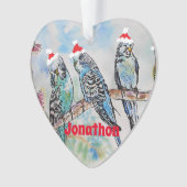Santa Budgie Parrot Boys Name Ornament (voorkant)
