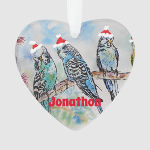 Santa Budgie Parrot Boys Name Ornament