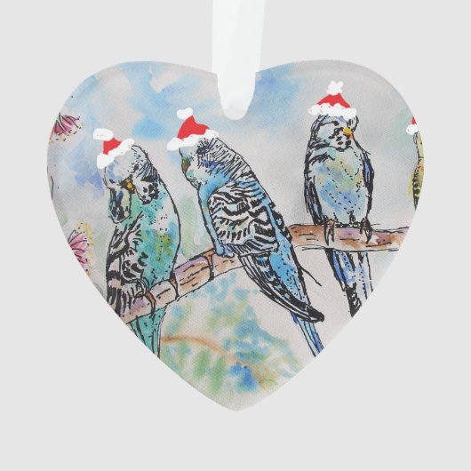 Santa Budgie Parrot Boys Name Ornament (achterkant)