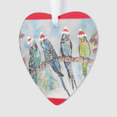 Santa Budgies Budgie Kerst Decoratie (voorkant)