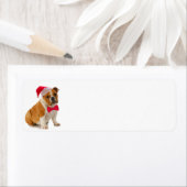 Santa Bulldog Return-adreslabel Etiket (Insitu)